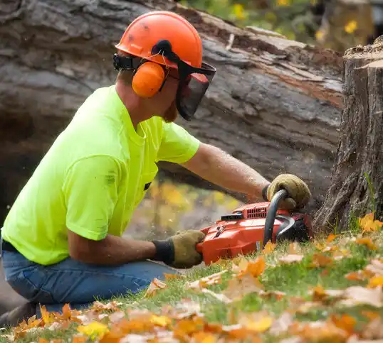 tree services Webster Groves